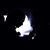 Jackson Shigeru Kaufelt's profile image