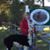 Susan Garrett's profile image