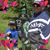 Edgardo Cueto's profile image