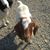 Jennifer Shaffer's profile image