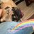 Dawn Gomez's profile image