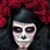 Willow Wind Mystics's profile image