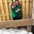 Brittany Ferron's profile image