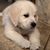 Meg Butchart's profile image