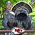 Blake Reiminger's profile image