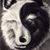 Shane Shuffield's profile image