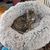 Linda Clanton Haag's profile image