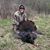 Brad Trombley's profile image