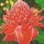 Supaporn Noonill's profile image