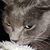 Kimberly Stotler's profile image