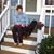 Sue Nelson's profile image
