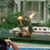 Kat Sunia's profile image