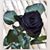 Sharon ONeill's profile image