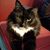 Sandy Hill Gembs's profile image