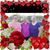 Cheryl Baldwin's profile image