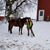 Ann Algie Ormsby's profile image