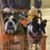 Robbie Schafer's profile image