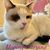 Christine Palmier's profile image