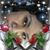 Rosa Cruz's profile image