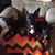 Jennie Clark Humbertson's profile image