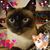 Kathy Parkins's profile image
