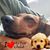 Tammy Cowart Shoemaker's profile image