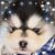 Angie Hobbs's profile image