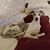 Deb Kendall's profile image