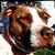 Kristin Leigh's profile image