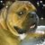 Shirley Price Wheeler's profile image