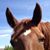Cathy O'Donnell's profile image