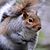 Susie Dykstra's profile image