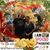 Patricia Shick's profile image