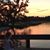 Tyler Grubbs Love's profile image
