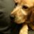 Annette Grubb Gill's profile image