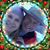Carla Brim's profile image
