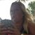 Tammy Beach-pringle's profile image