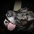 Brenda Rowland Mansfield's profile image
