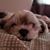 Tammie Franer's profile image