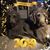 Carol Gendler's profile image