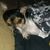 Lonnie Sandifer's profile image