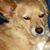 Betty J. Price's profile image