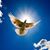 Judy Gilley's profile image
