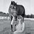 Kailene Bader-Van Dyke's profile image