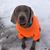 Jessica Gorges Johnson's profile image