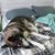 Debi Grenier's profile image