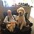 Ted McAlister's profile image