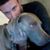 Tom Oesch's profile image