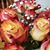 Linda Westcott's profile image