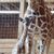 Tadah Dyer's profile image